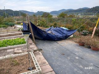 화우농원님의 콩 · 영농일지 작성글 사진