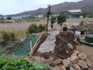 正覺님의 기타작물 · 영농일지 작성글 사진