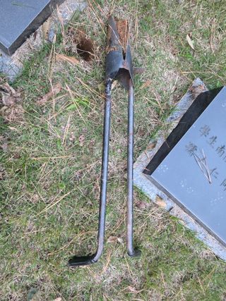 한내님의 배추 · 영농일지 작성글 사진