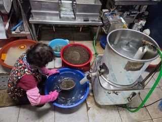 윤자용11대임후회장님의 들깨 · 영농일지 작성글 사진