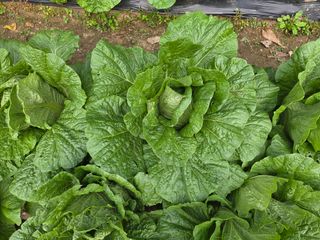 조희빈님의 작성글 사진