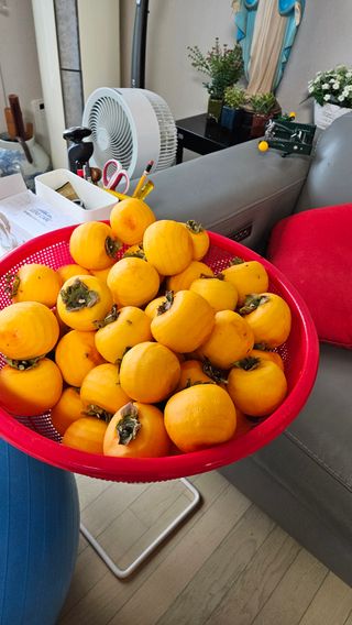 이순정님의 감 · 영농일지 작성글 사진