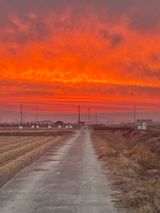 팜모닝 벼·영농일지 게시글 이미지