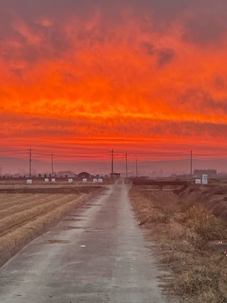 최선조님의 벼 · 영농일지 작성글 사진