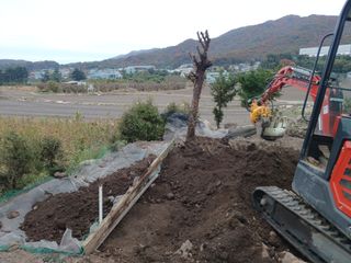 正覺님의 기타작물 · 영농일지 작성글 사진