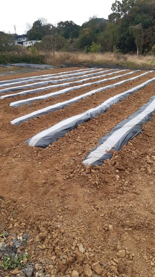 하루의행복님의 기타작물 · 영농일지 작성글 사진