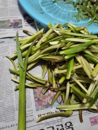 박철용 님의 기타작물 · 영농일지 작성글 사진