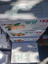 팜모닝 감·영농일지 게시글 이미지