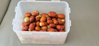 한내님의 기타작물 · 영농일지 작성글 사진