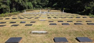 한내님의 배추 · 영농일지 작성글 사진