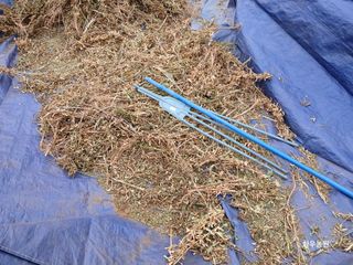 화우농원님의 콩 · 영농일지 작성글 사진