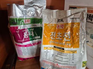 하야비치님의 마늘 · 영농일지 작성글 사진