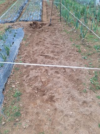 김윤오님의 기타작물 · 영농일지 작성글 사진