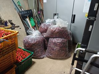 홍순오님의 고추 · 영농일지 작성글 사진