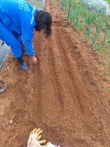 팜모닝 기타작물·영농일지 게시글 이미지