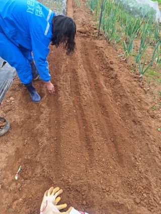 김윤오님의 기타작물 · 영농일지 작성글 사진