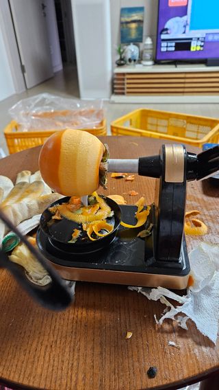 이순정님의 감 · 영농일지 작성글 사진