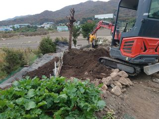 正覺님의 기타작물 · 영농일지 작성글 사진