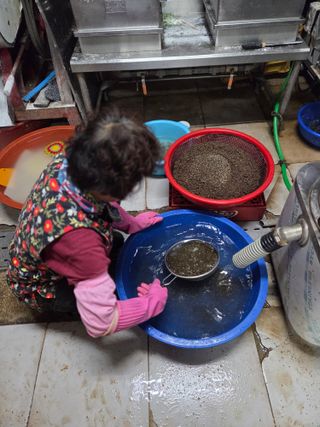 윤자용11대임후회장님의 들깨 · 영농일지 작성글 사진