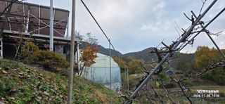 달맛햇복숭아농원님의 복숭아 · 영농일지 작성글 사진