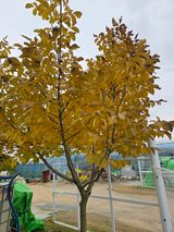 팜모닝 기타작물·영농일지 게시글 이미지