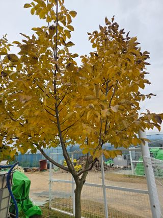 황만달님의 기타작물 · 영농일지 작성글 사진