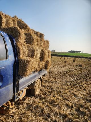 김저팔계님의 파 · 영농일지 작성글 사진