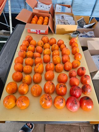 허영욱 님의 기타작물 · 영농일지 작성글 사진