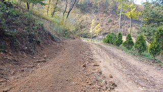 박준권님의 기타작물 · 영농일지 작성글 사진