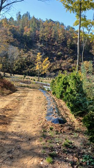 박준권님의 기타작물 · 영농일지 작성글 사진
