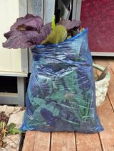 팜모닝 기타작물·영농일지 게시글 이미지