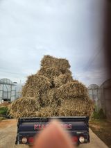 팜모닝 파·영농일지 게시글 이미지