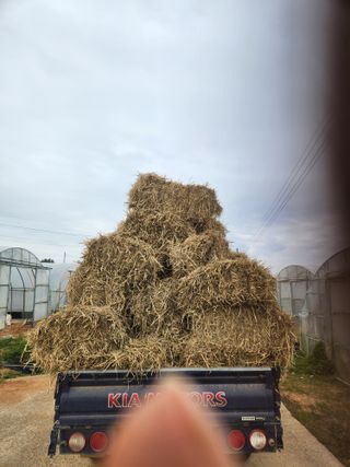 김저팔계님의 파 · 영농일지 작성글 사진