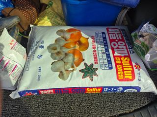 뚜벅이님의 기타작물 · 영농일지 작성글 사진