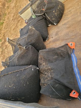 신승철님의 콩 · 영농일지 작성글 사진