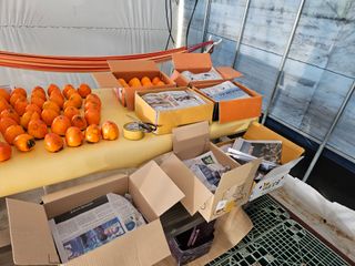 허영욱 님의 기타작물 · 영농일지 작성글 사진