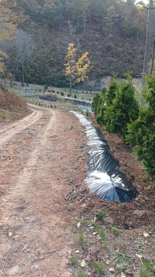 박준권님의 기타작물 · 영농일지 작성글 사진