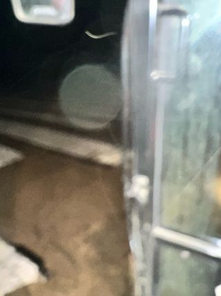 김흥남님의 양파 · 영농일지 작성글 사진