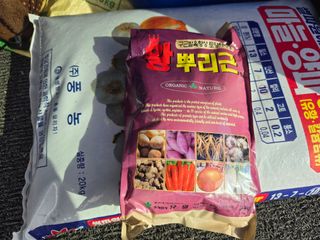 뚜벅이님의 기타작물 · 영농일지 작성글 사진