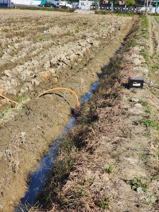 박종권님의 기타작물 · 영농일지 작성글 사진