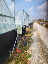 김저팔계님의 작성글 사진