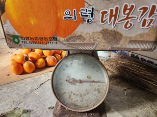 김재현님의 감 · 영농일지 작성글 사진