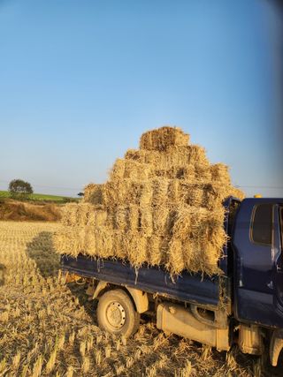 김저팔계님의 파 · 영농일지 작성글 사진