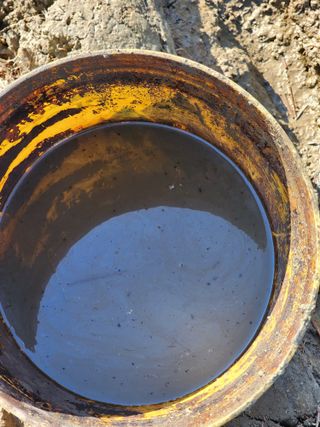 박종권님의 기타작물 · 영농일지 작성글 사진