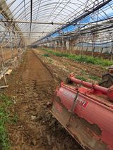 팜모닝 복숭아·영농일지 게시글 이미지