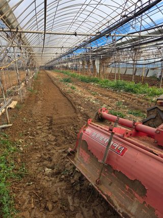 홍성규 님의 복숭아 · 영농일지 작성글 사진