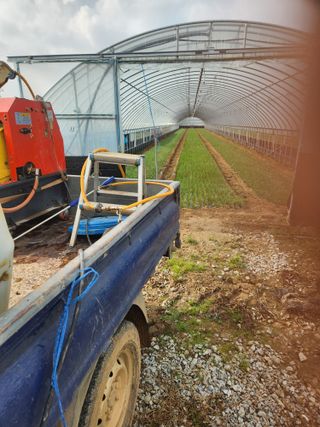 김저팔계님의 파 · 영농일지 작성글 사진