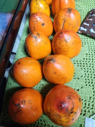 김재현님의 감 · 영농일지 작성글 사진