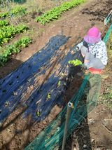 향양농장 사랑합니다님의 작성글 사진