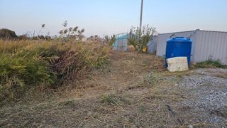 장정규님의 기타작물 · 영농일지 작성글 사진